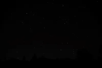 DSC_1104 (Large).JPG